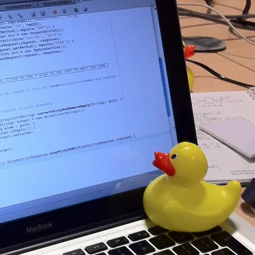 Duck debugging
